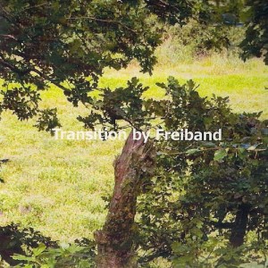 transition kopie